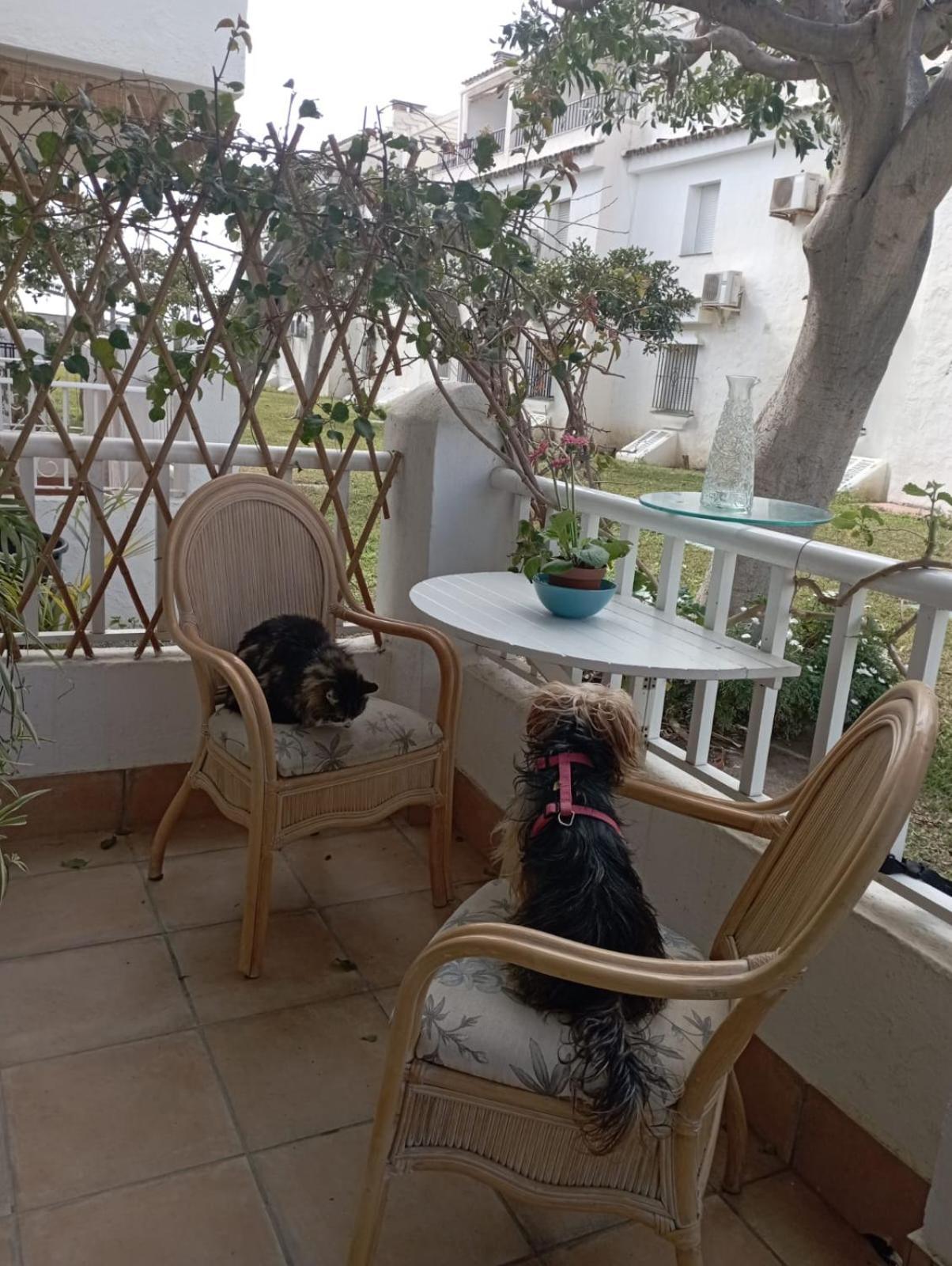 Apartamento Laguna Beach Torrox Costa Екстер'єр фото